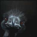Emu; Acryl auf Leinwand;
77 x 77 cm;
verkauft
