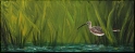 Brachvogel Acryl Misch-Fließtechnik auf Leinwand; 50 x 20 cm